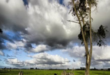 天涯论坛的爱情故事