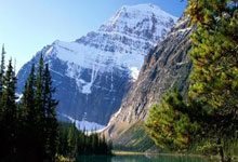 天涯论坛的爱情故事